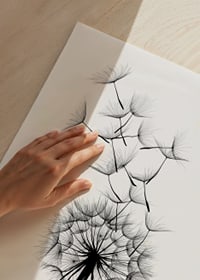 Black and white illustration of dandelion seeds in close-up against white background-9