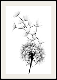 Black and white illustration of dandelion seeds in close-up against white background-2