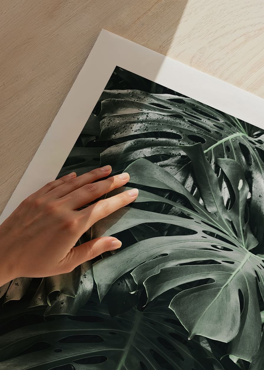 Monstera No3-12