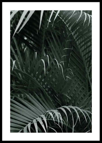 Juliste Palm Leaf No1