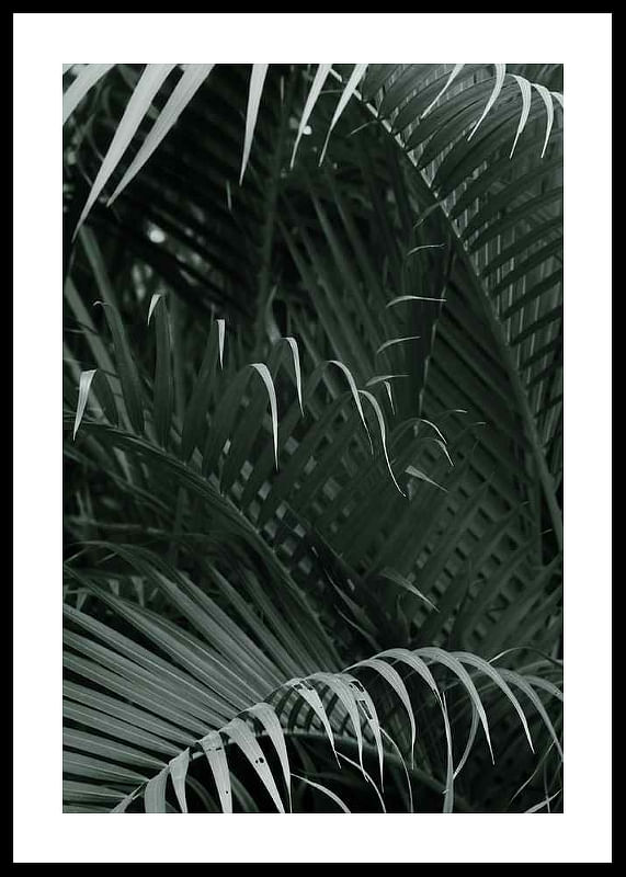 Palm Leaf No1-12