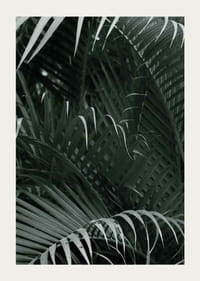 Fotografische close-up van dichte groene palmbladeren in lagen-3