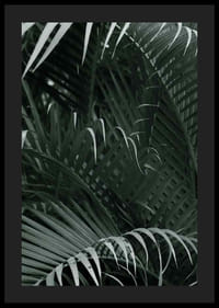 Fotografische close-up van dichte groene palmbladeren in lagen-4