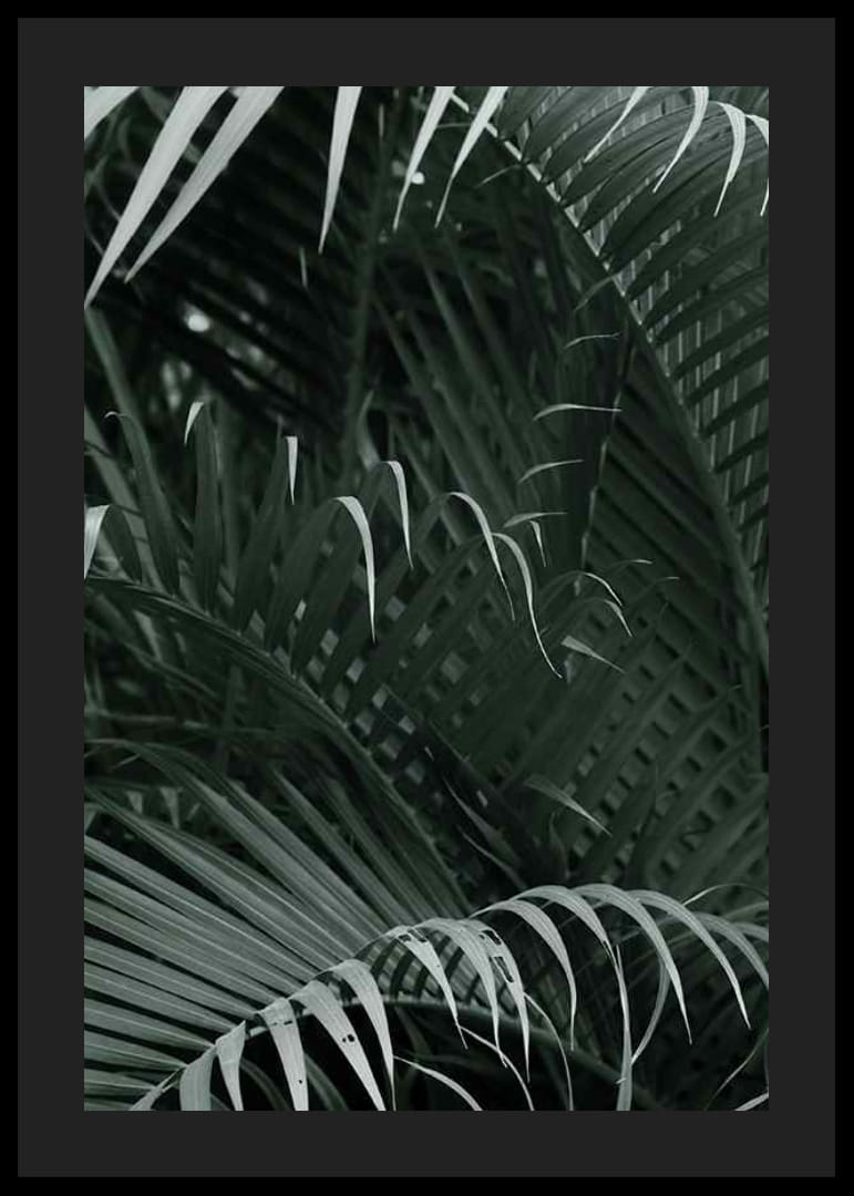 Fotografische close-up van dichte groene palmbladeren in lagen-12