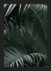 Fotografische close-up van dichte groene palmbladeren in lagen-5