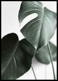 Green Leaves No1-2