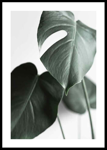 Poster Green Leaves No1