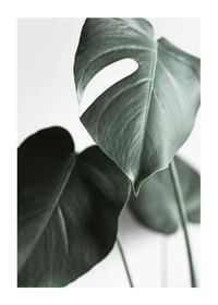 Green Leaves No1-1