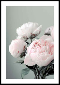 Pink peonies No1-0