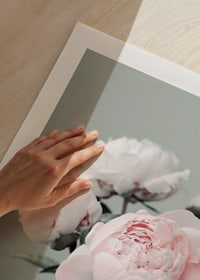 Photograph of light pink peonies against a dull green background-9