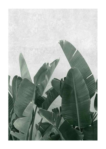 Plakat Banana leaves No3