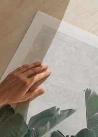 Banana leaves No3-5
