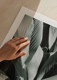 Banana Leaves No4-5
