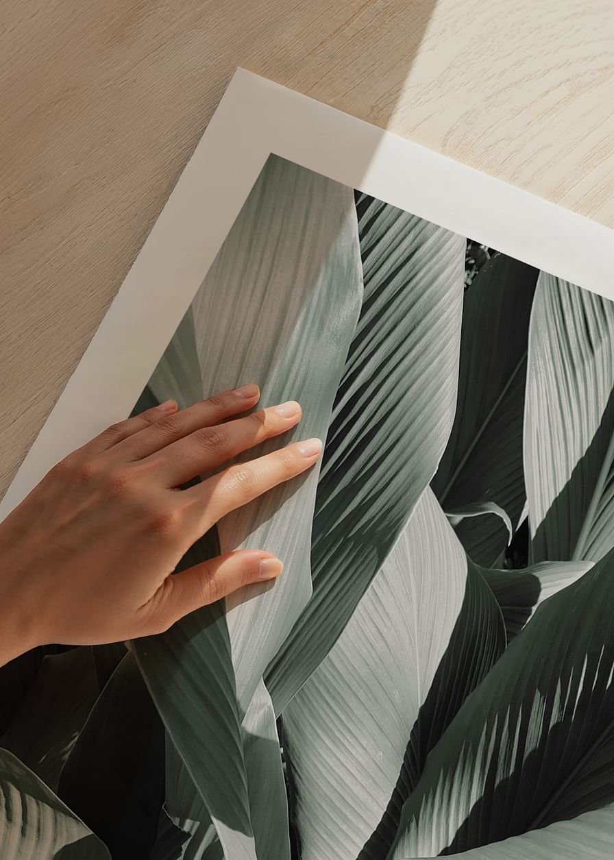 Banana Leaves No4-12