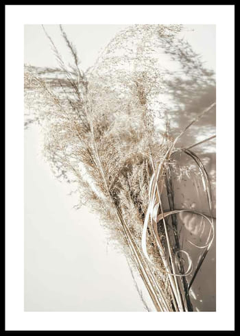 Poszter Dry Reeds No2