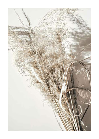 Poster Dry Reeds No2