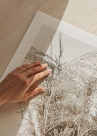 Fotografisk närbild av torkade strån mot ljus beige bakgrund-9
