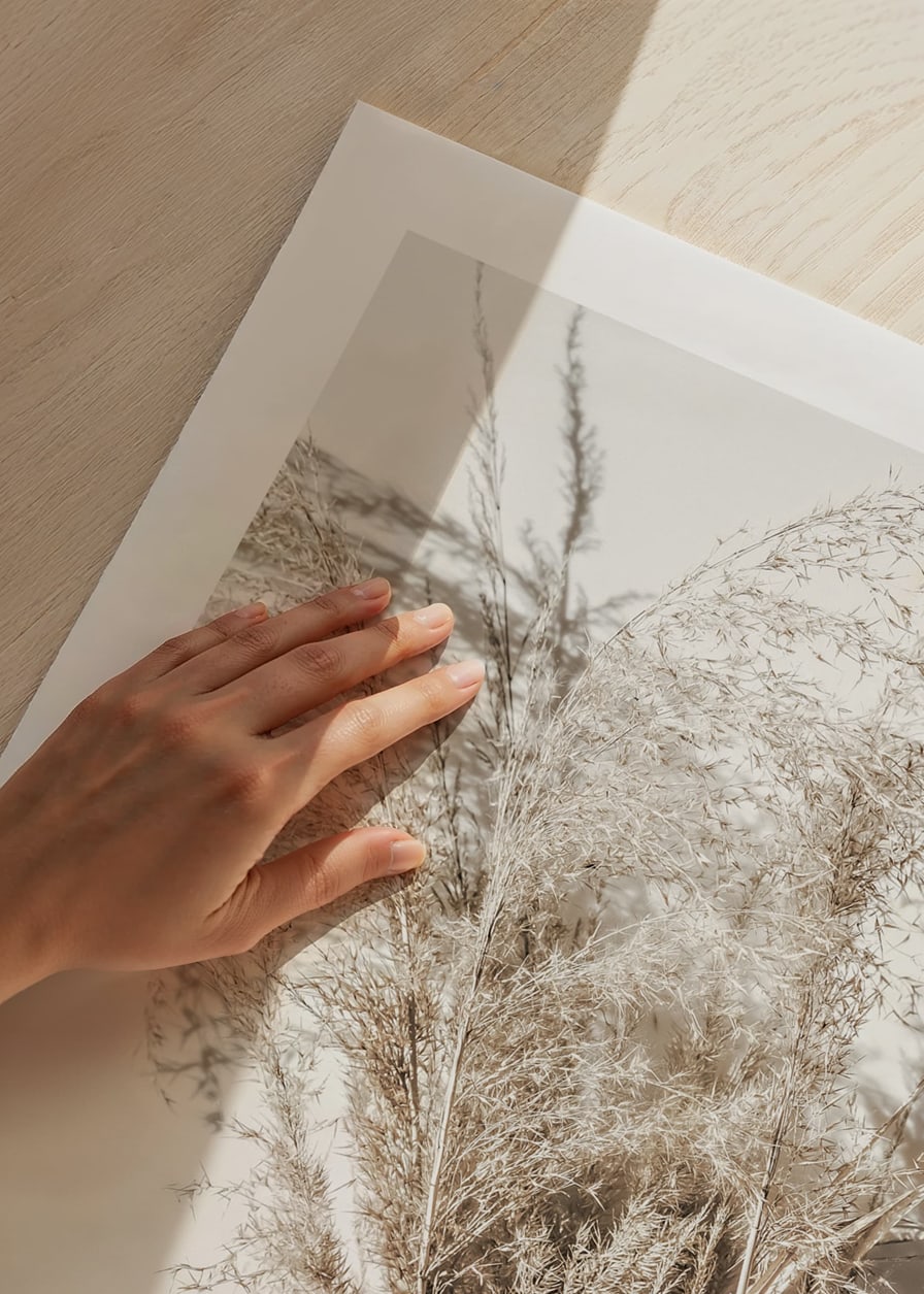 Fotografisk närbild av torkade strån mot ljus beige bakgrund-12