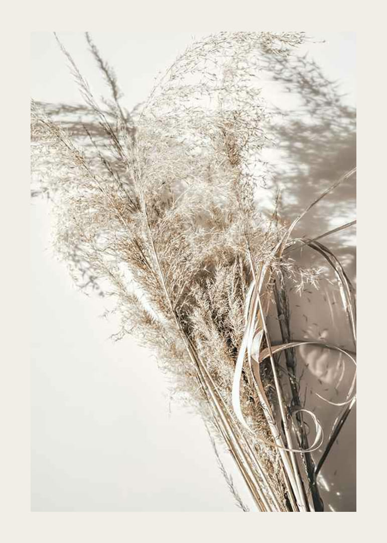 Close fotográfico de palhas secas contra fundo bege claro-12