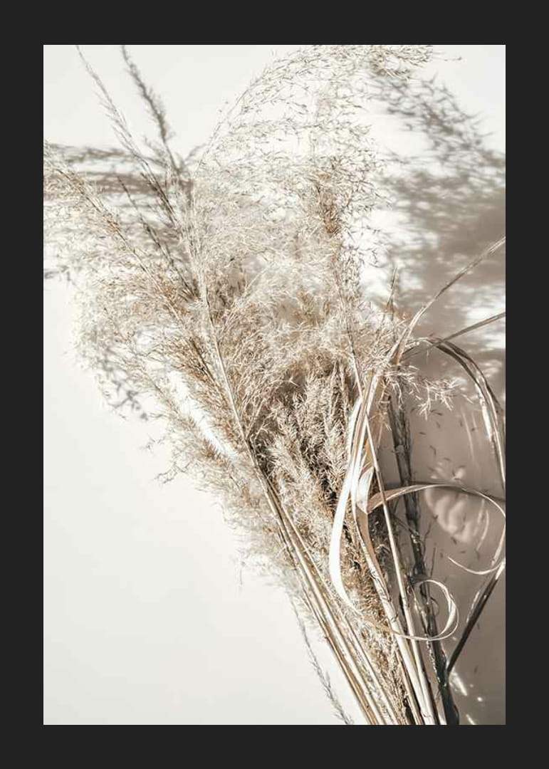 Close fotográfico de palhas secas contra fundo bege claro-12