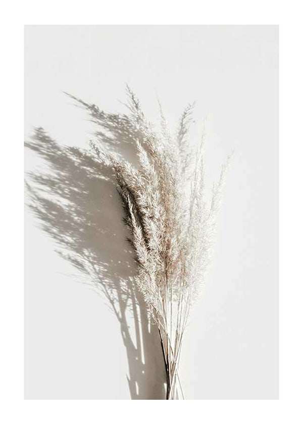 Plakāts Dry Reeds No3