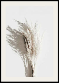 Photographie de pailles de roseau beiges séchées avec une ombre claire-2