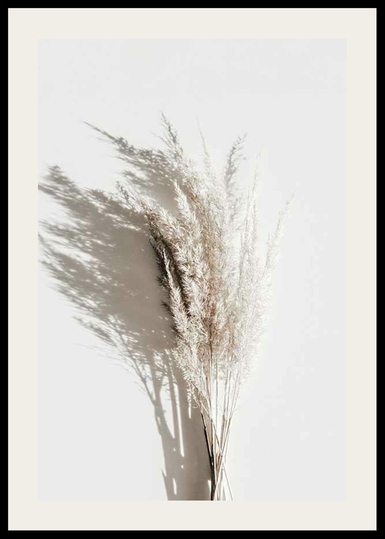 Photographie de pailles de roseau beiges séchées avec une ombre claire-12