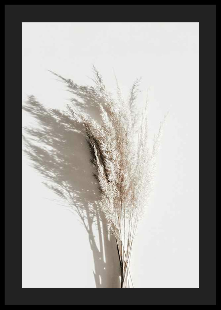 Photographie de pailles de roseau beiges séchées avec une ombre claire-12