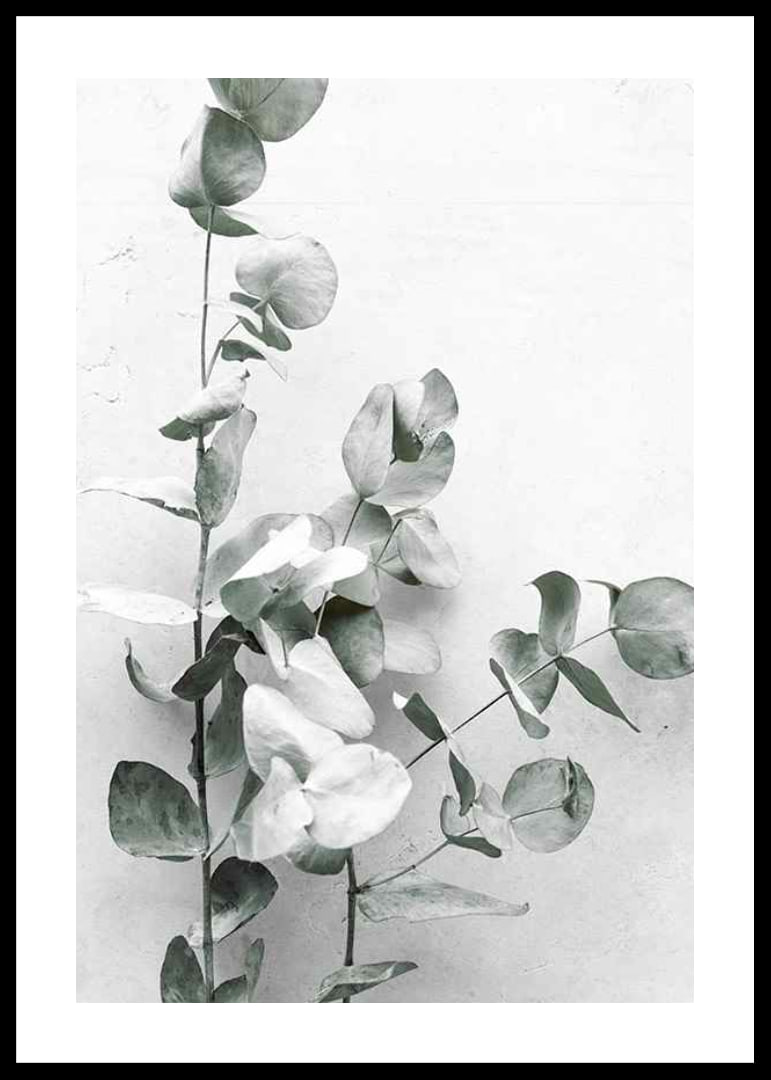Photographic close-up of eucalyptus against light gray background-12