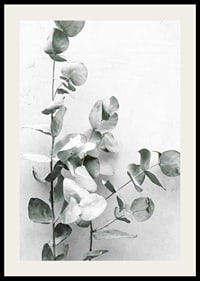Photographic close-up of eucalyptus against light gray background-2