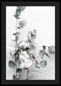 Gros plan photographique d'eucalyptus sur fond gris clair-4