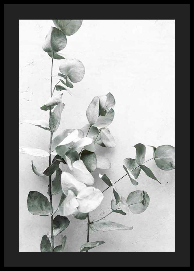 Gros plan photographique d'eucalyptus sur fond gris clair-12