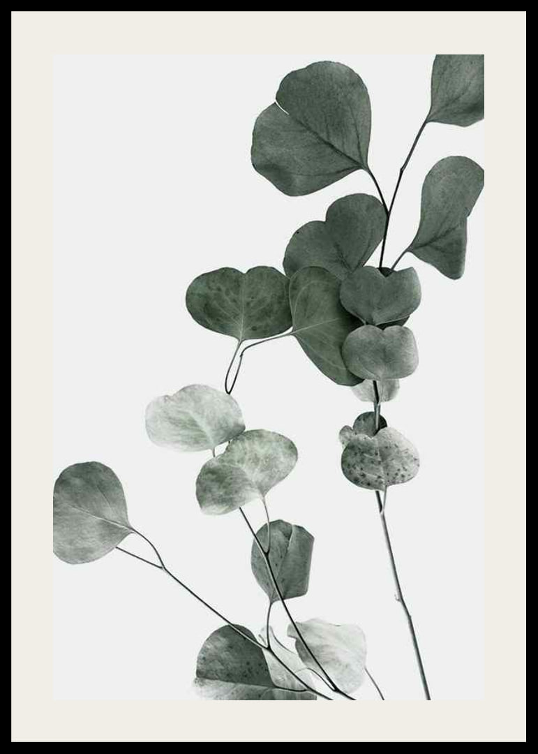 Photographic close-up of eucalyptus leaves against light background-12