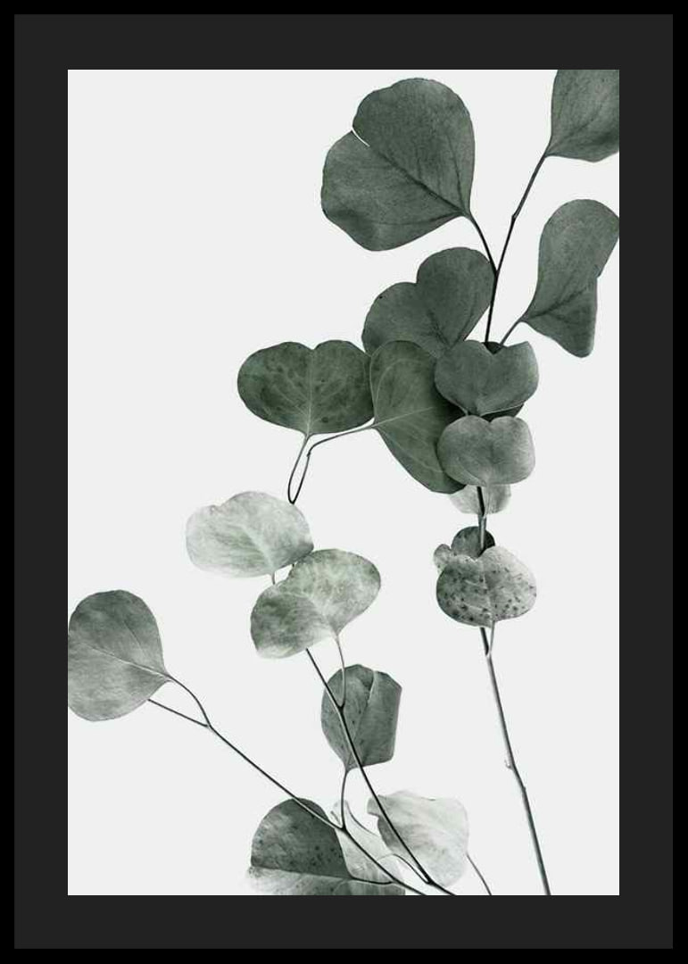 Photographic close-up of eucalyptus leaves against light background-12