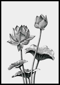 Sketched Flowers-2