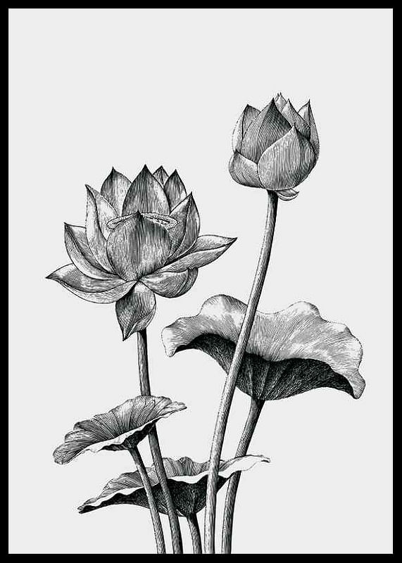 Sketched Flowers-12