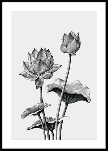 Poster Sketched Flowers