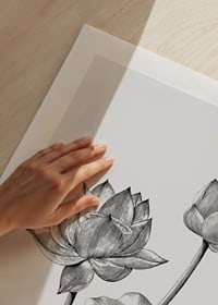 Detaljerad svartvit illustration av lotusblommor och blad-9