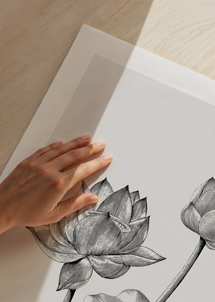 Detaljerad svartvit illustration av lotusblommor och blad-12