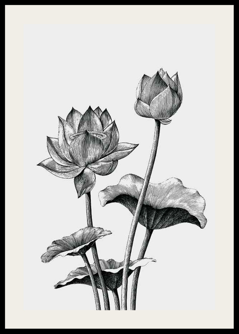 Detaljerad svartvit illustration av lotusblommor och blad-12