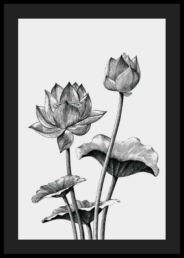 Detaljerad svartvit illustration av lotusblommor och blad-12