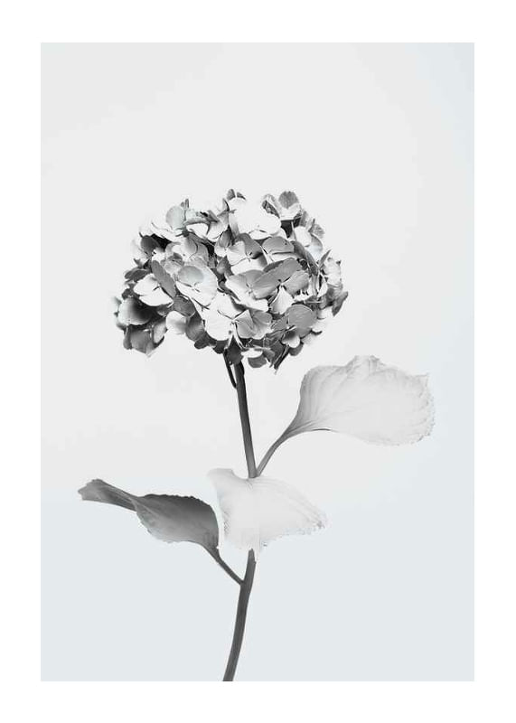 White Painted Flower-12