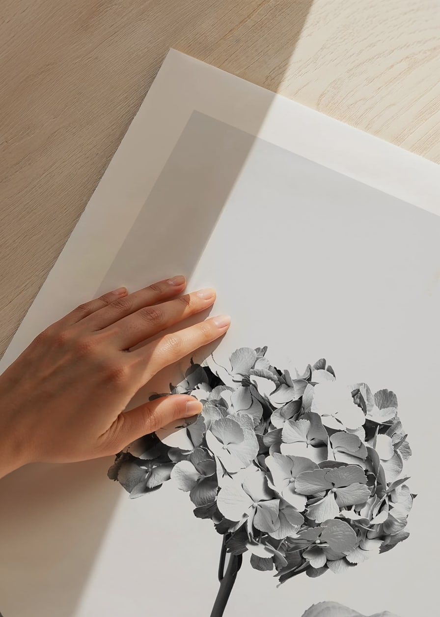 Black and white photo of hydrangea with flowers covered in white paint-12