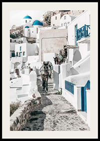 Fotografi av åsnor på stenstig bland vita hus i Santorini i Egeiska havet-2