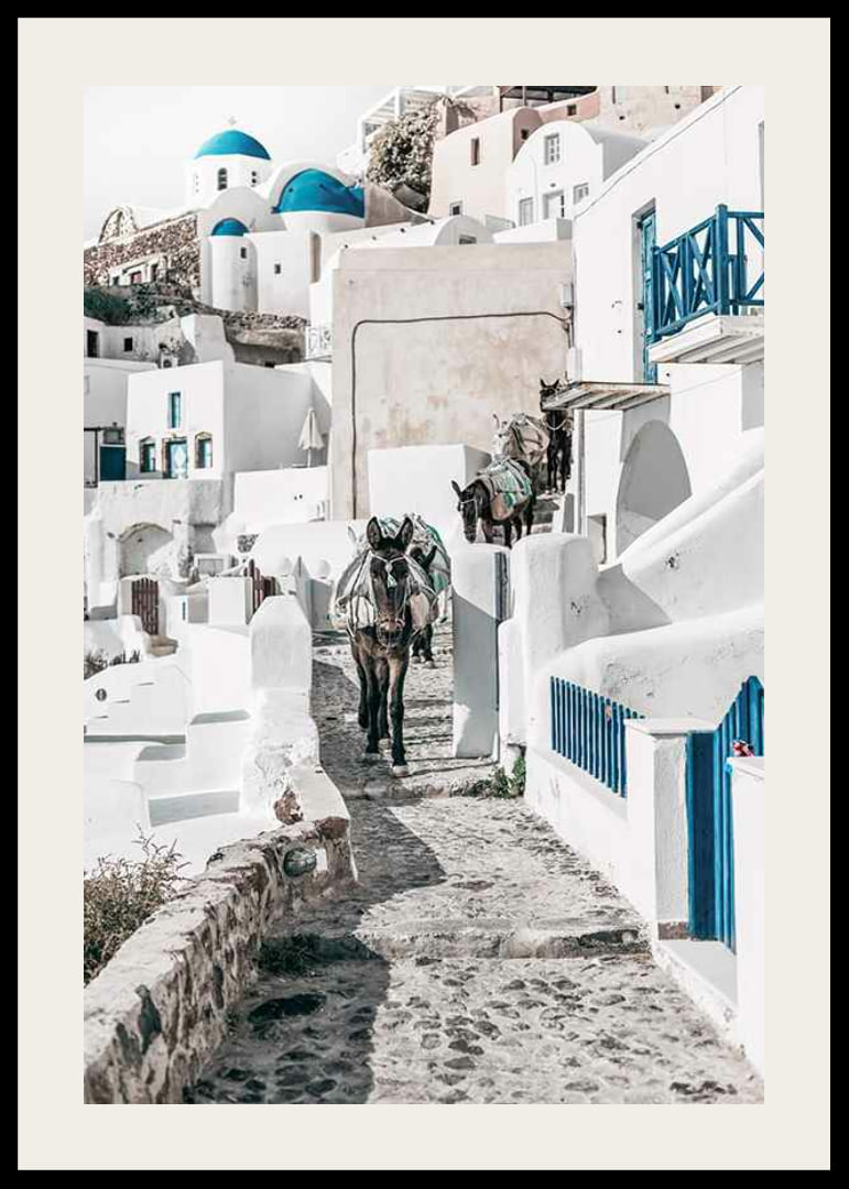 Fotografi av åsnor på stenstig bland vita hus i Santorini i Egeiska havet-12