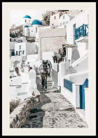 Fotografia di asini su un sentiero di pietra tra case bianche a Santorini nel Mar Egeo-2