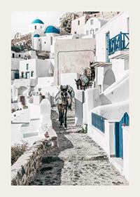 Fotografi av åsnor på stenstig bland vita hus i Santorini i Egeiska havet-3