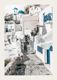 Fotografia di asini su un sentiero di pietra tra case bianche a Santorini nel Mar Egeo-3