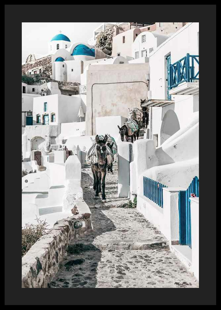 Fotografi av åsnor på stenstig bland vita hus i Santorini i Egeiska havet-12