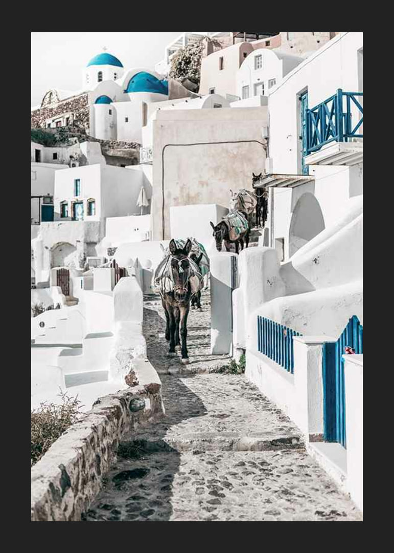Fotografi av åsnor på stenstig bland vita hus i Santorini i Egeiska havet-12